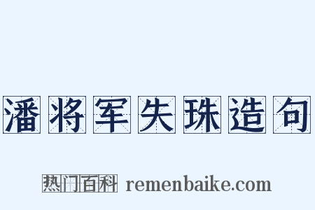 潘将军失珠造句是什么意思的图片